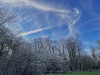 240304_iPhone2023dxo