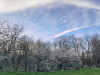 240304_iPhone2025dxo