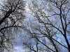 240305_iPhone2026dxo