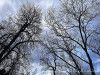 240305_iPhone2027dxo