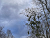 240305_iPhone2028dxo