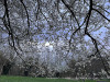 240305_iPhone2036dxo