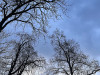240305_iPhone2038dxo