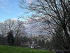 240306_iPhone2039dxo