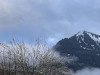 IMG_023545adxo