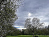 240401_iPhone2168dxo