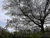 240401_iPhone2169dxo