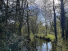 240401_iPhone2173dxo