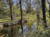 240401_iPhone2174dxo