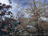 240401_iPhone2175dxo