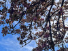 240401_iPhone2177dxo