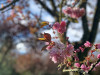 240401_iPhone2179dxo