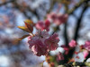 240401_iPhone2180dxo