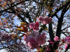240401_iPhone2181dxo