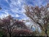 240401_iPhone2182dxo