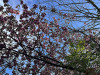 240401_iPhone2183dxo
