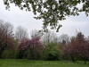 240402_iPhone2188dxo
