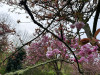 240402_iPhone2189dxo
