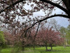 240402_iPhone2190dxo