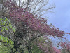 240402_iPhone2191dxo