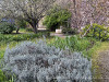240403_iPhone2198dxo