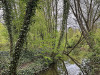240406_iPhone2210dxo
