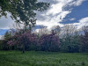 240409_iPhone2217dxo