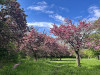 240409_iPhone2220dxo