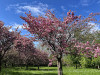 240409_iPhone2222dxo