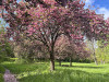 240409_iPhone2223dxo