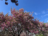 240409_iPhone2225dxo