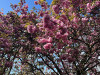 240409_iPhone2226dxo
