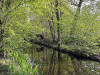 240411_iPhone2231dxo