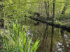240411_iPhone2232dxo