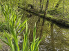 240411_iPhone2233dxo