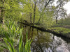 240411_iPhone2235dxo