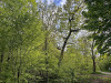 240411_iPhone2236dxo