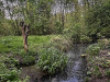 240411_iPhone2240dxo