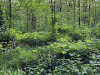 240414_iPhone2241dxo