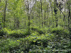 240414_iPhone2242dxo