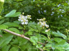 240414_iPhone2254dxo