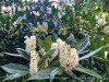 240414_iPhone2256dxo