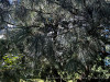 PhotoiPhone_250905_5459dxo
