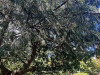 PhotoiPhone_250905_5460dxo