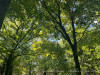 PhotoiPhone_250905_5462dxo