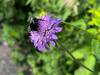 IMG_024442adxo