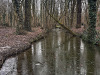 PhotoiPhone_250104_3956dxo