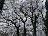 PhotoiPhone_250112_3985dxo