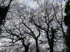 PhotoiPhone_250112_3986dxo