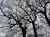 PhotoiPhone_250112_3987dxo